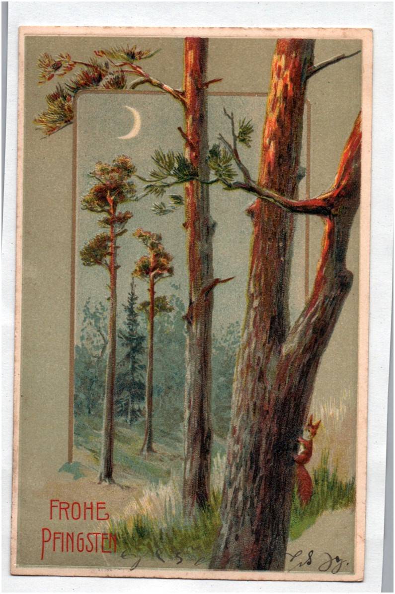 Präge Ak Wald Bäume Eichhörnchen Frohe Pfingsten 1907