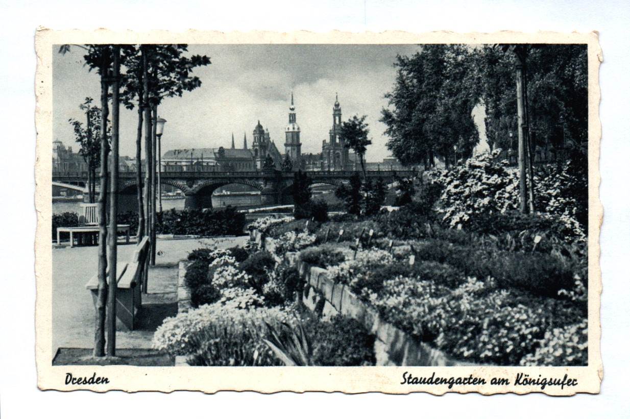 Ak Dresden Staudengarten am Königsufer 1942 Sachsen Ak Dresden Staudengarten am Königsufer 1942 Sachsen