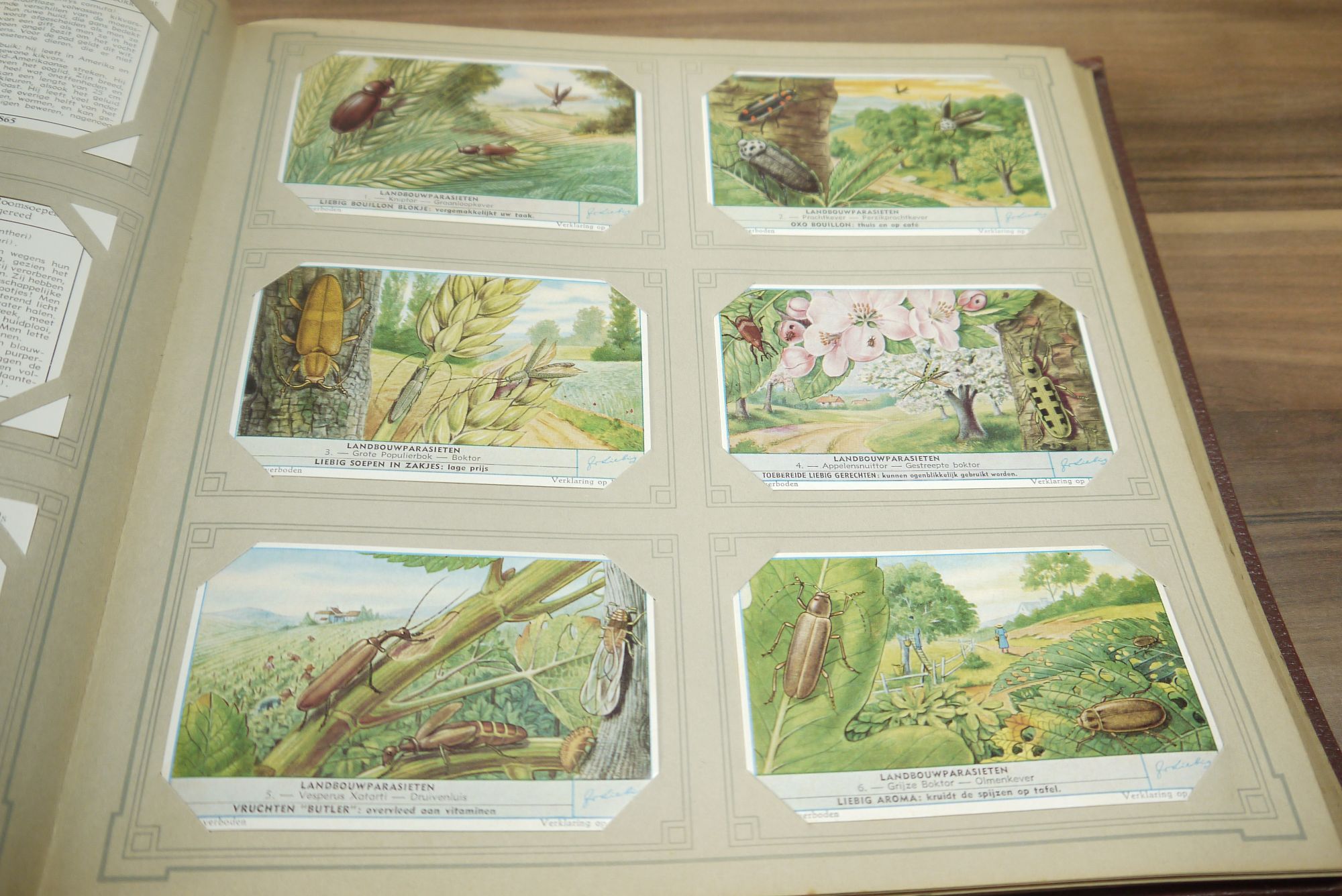 Liebig Album Chromo ca 50 Seiten 296 Karten Sammelbilder