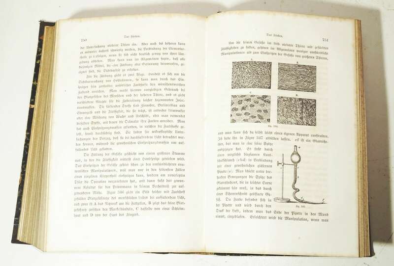 Die Wunder der unsichtbaren Welt enthüllt durch das Mikroskop 1868 Gustav Jäger