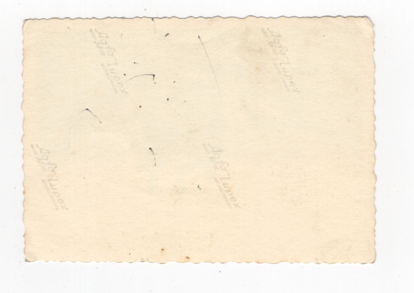 Foto Offizier mit Kameraden Kübelwagen 2 WK WW2