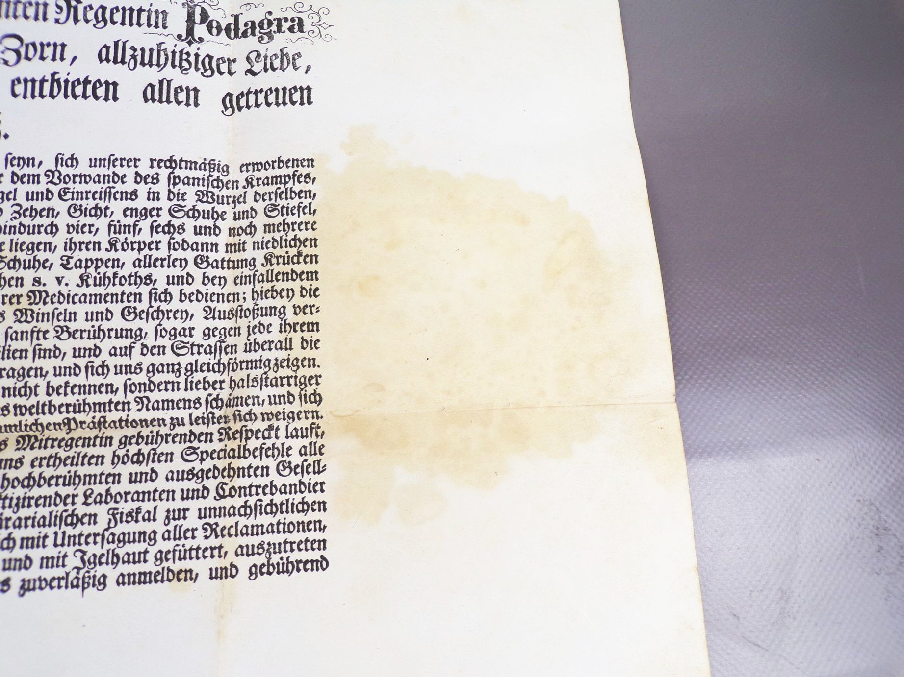 Alte Karneval Urkunde Nürnberg Fränkische Fastnacht um 1880 Alte Karneval Urkunde Nürnberg Fränkische Fastnacht um 1880
