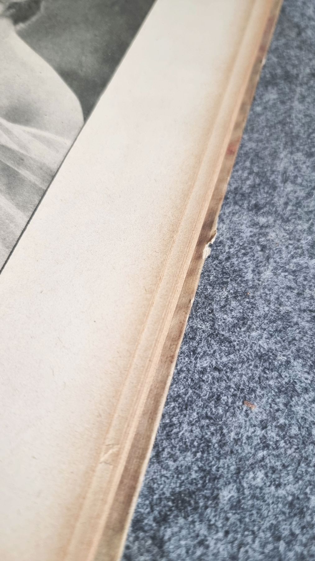 Das Geheimnis der Schönheit von Ola Alsen Berlin 1920 altes Buch Das Geheimnis der Schönheit von Ola Alsen Berlin 1920 altes Buch