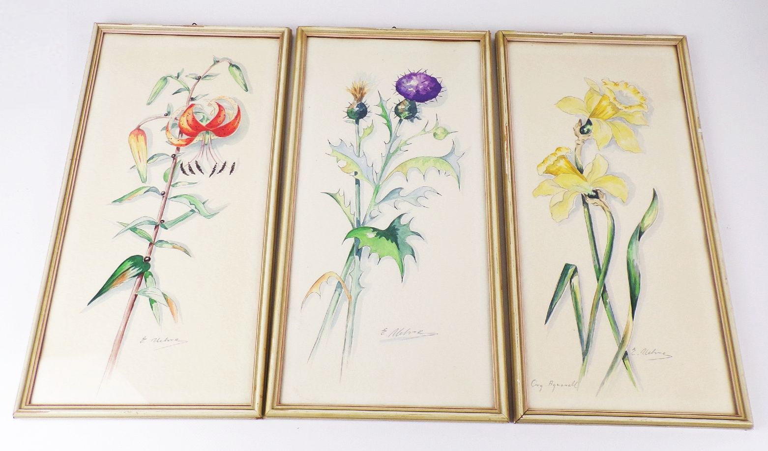 Aquarell Blumen Botanik Signiert 3 Stück Set Bilderrahmen