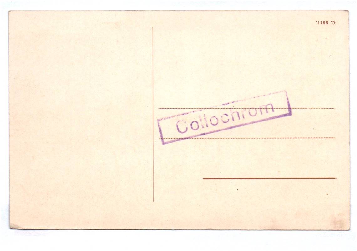 AK Städtisches Gasthaus Wehrinsel Forst Lausitz um 1910 AK Städtisches Gasthaus Wehrinsel Forst Lausitz um 1910