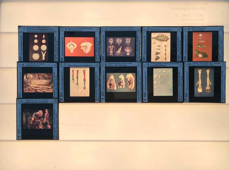 Foto Lehrmaterial Glasdias Länder Lehrmittel Sowjetunion DDR Deutschland Dias