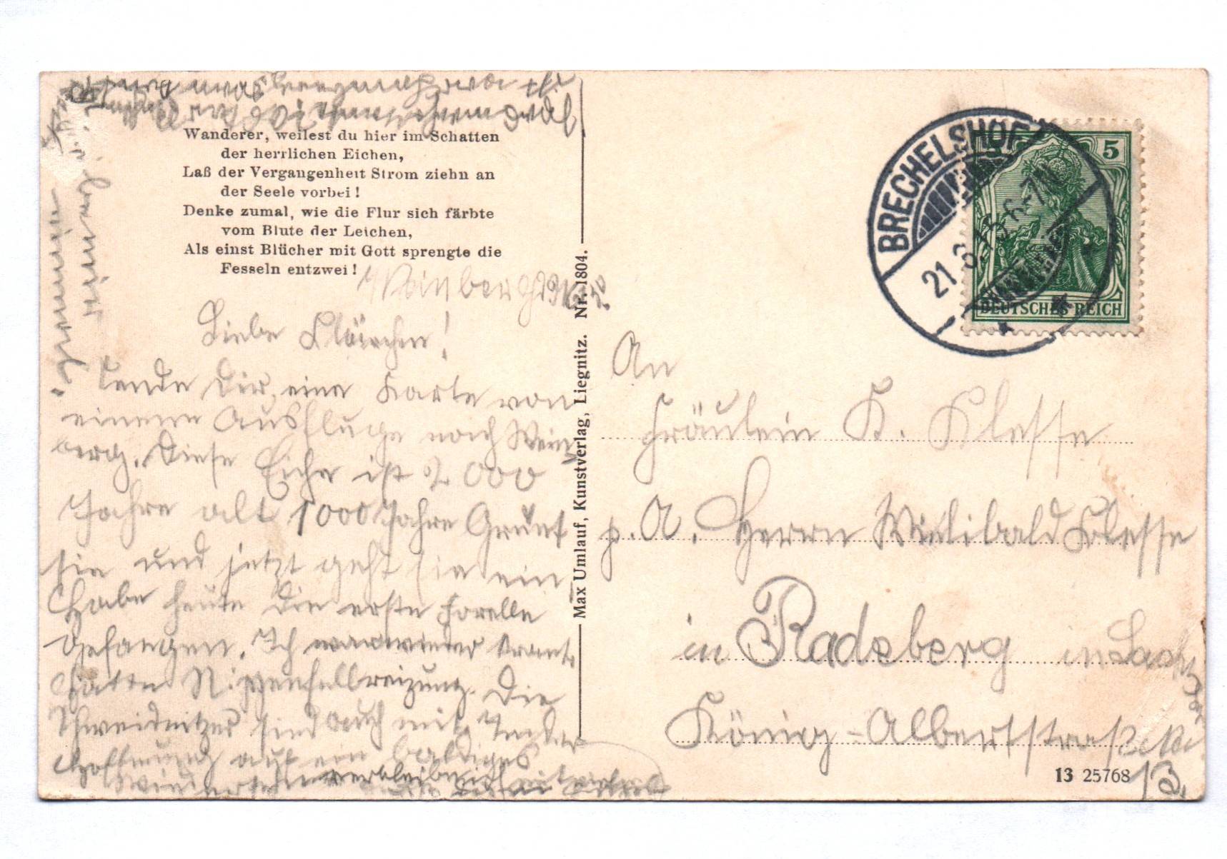 Ak Dicke Eichen bei Crayn von 6 bis 8 m Umfang 1915 Ak Dicke Eichen bei Crayn von 6 bis 8 m Umfang 1915