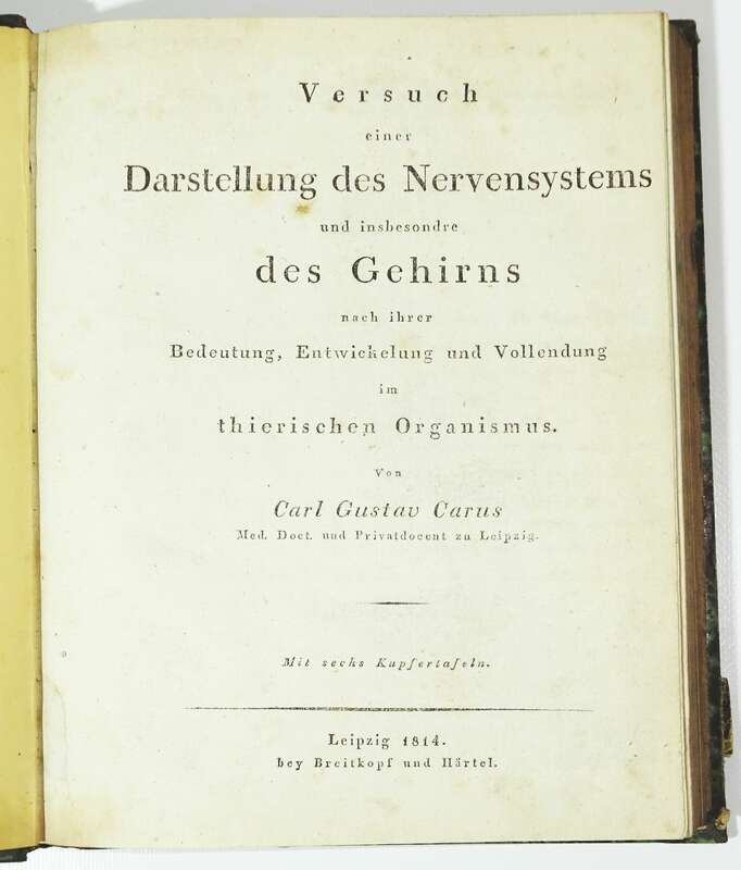 Versuch einer Darstellung des Nervensystems Gehirns Carus 1814 Kupfer
