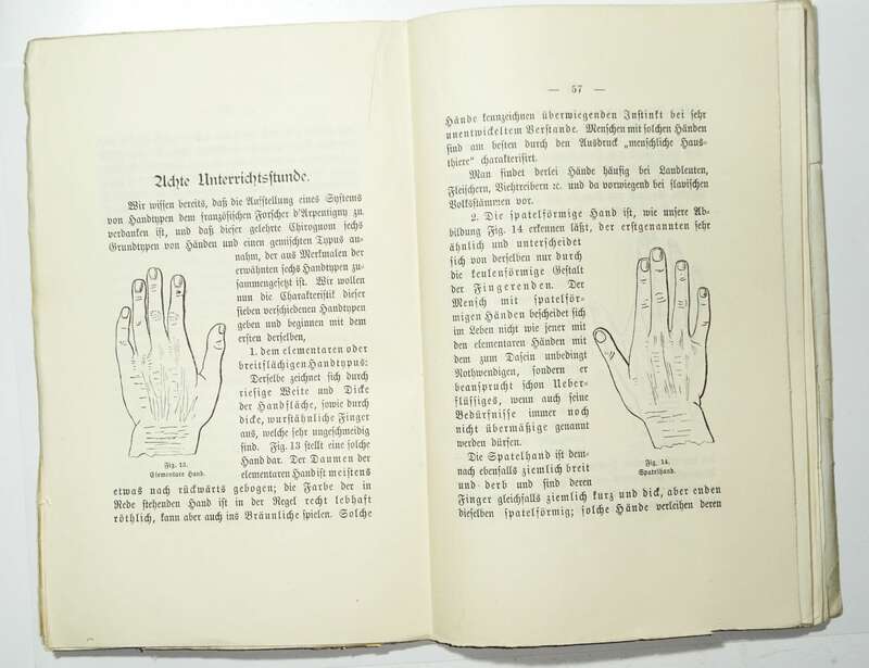 Die Kinderhand und ihre Bedeutung Karl Siegismund 1894 Handflächenkunde