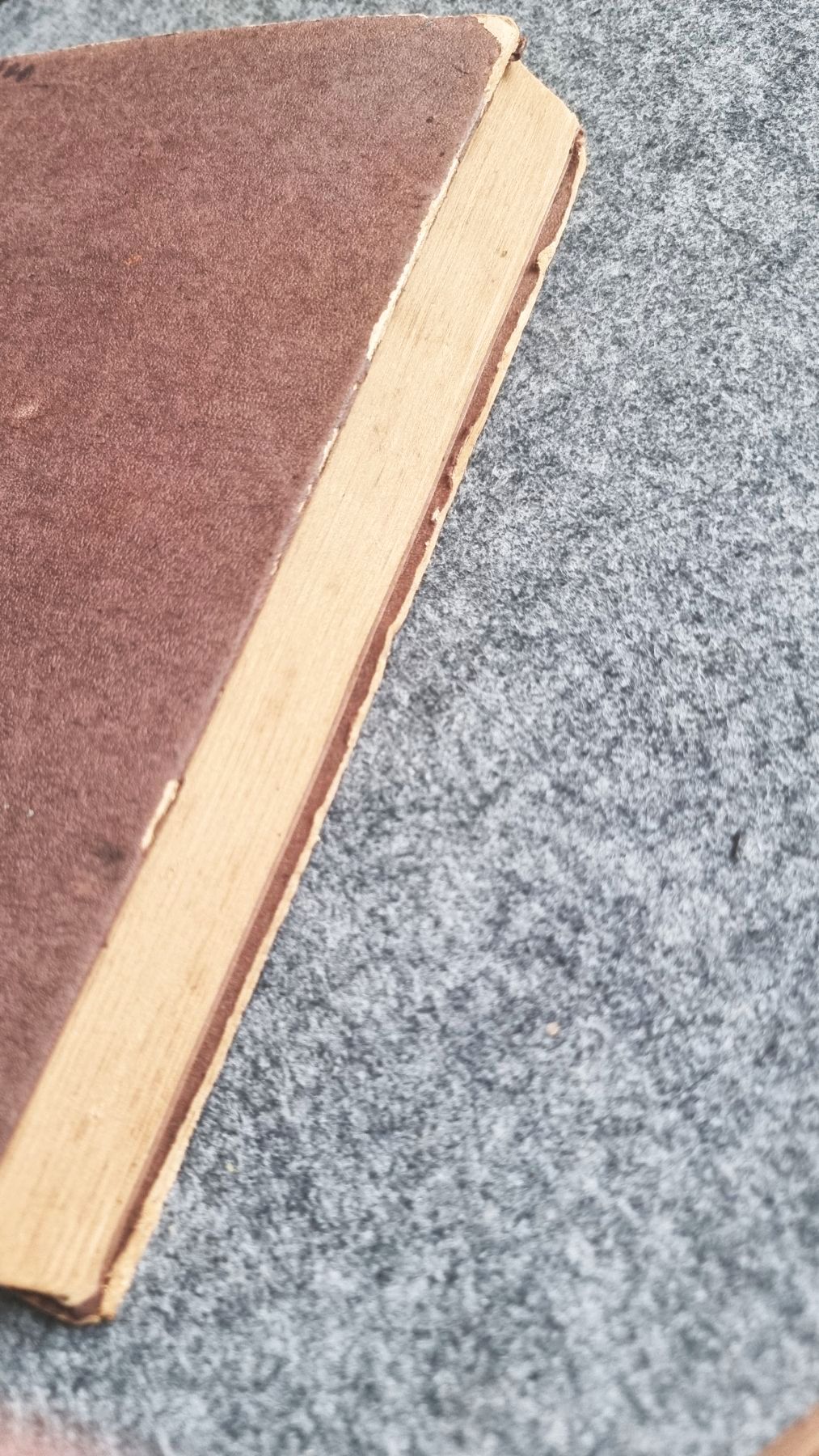 Karlchen Knirps Reisen und Abenteuer 2 Bände I und II 1922 alte Bücher Karlchen Knirps Reisen und Abenteuer 2 Bände I und II 1922 alte Bücher