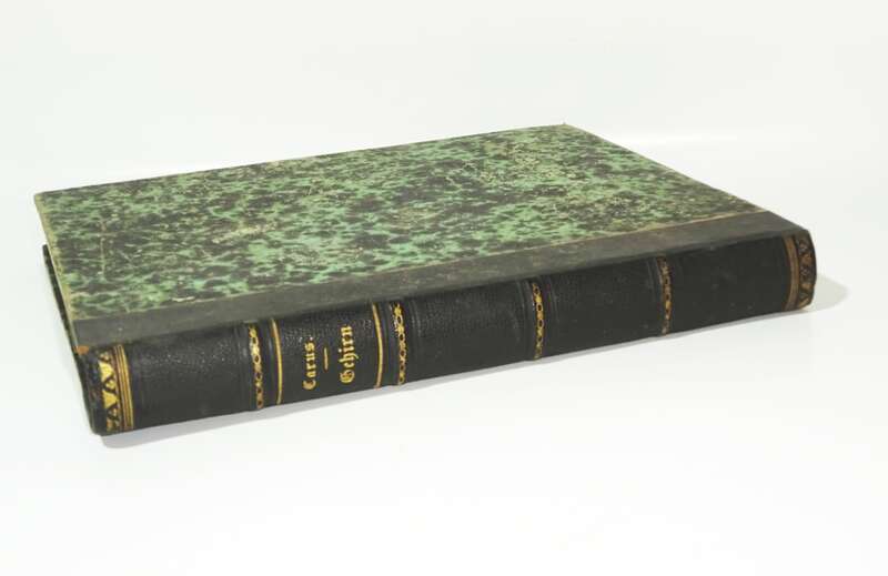 Versuch einer Darstellung des Nervensystems Gehirns Carus 1814 Kupfer