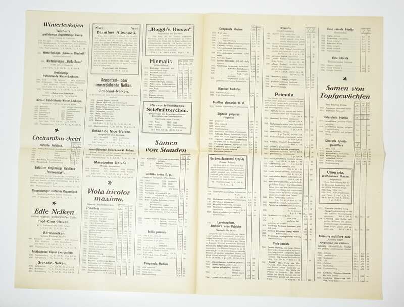 Prospekt Paul Teicher Striegau Schlesien 1927 Samenhandlung Gärtnerei 