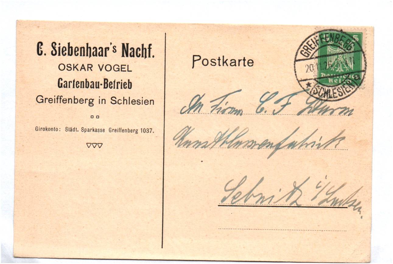 Firmen Postkarte Siebenhaar Nachfolger Oskar Vogel 1926 Gartenbau Greiffenberg Schlesien Firmen Postkarte Siebenhaar Nachfolger Oskar Vogel 1926 Gartenbau Greiffenberg Schlesien