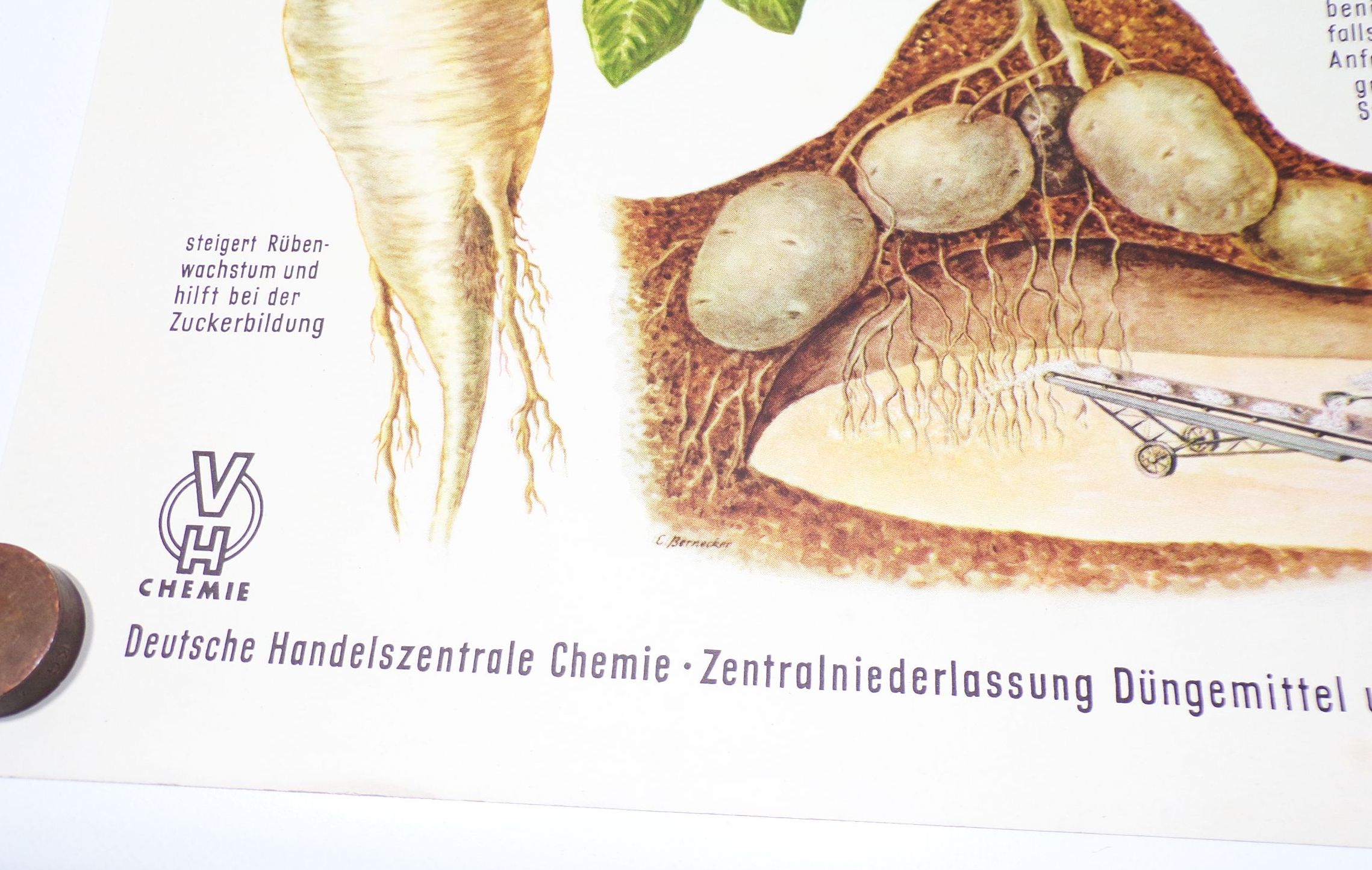 DDR Plakat Dünger Stickstoff Landwirtschaft Bauer LPG 1959 Reklame Sammler