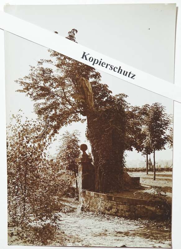 Foto Konvolut Radebeul 1908 Hoflössnitz Ofen Innenansichten