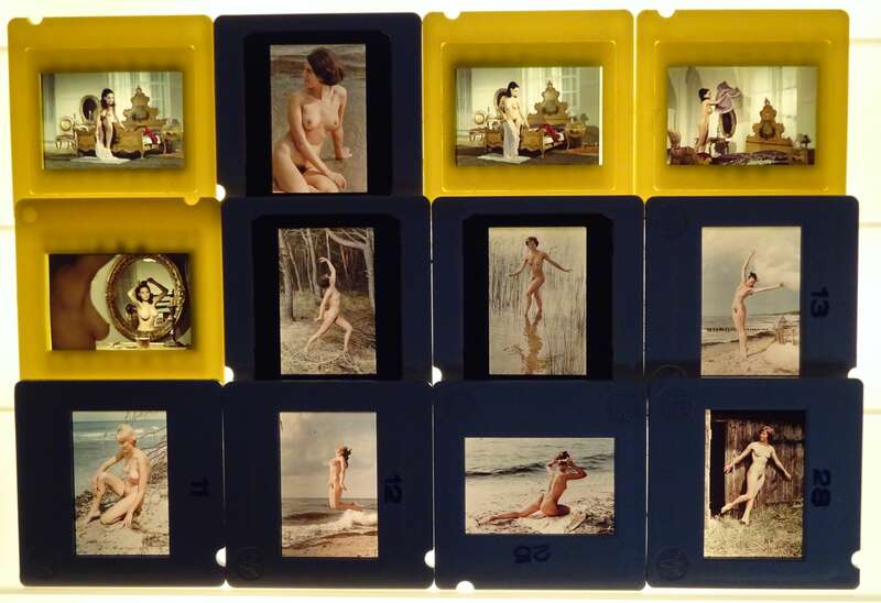 Akt Dia 85 Stück Farbdias nackte Frauen Erotik Nude Naked DDR Glasdia